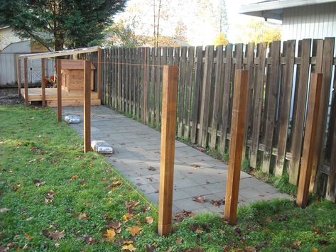 Dog Run - Posts | by MacSquiz Dog Runner Ideas Backyard, Diy Dog Kennel Outdoor, Dog Cage Outdoor, Dog Run Ideas Backyard, Dog Run Side Yard, Dog Run Fence, Diy Dog Run, Outdoor Dog Area, Backyard Dog Area