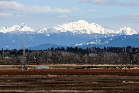 Everett and Snohomish County news from The Herald | HeraldNet.com Edmonds Washington, Seahawks Colors, Dog Dye, Snohomish Washington, Camano Island, Cascade Mountains, North Cascades, Forest Park, Puget Sound