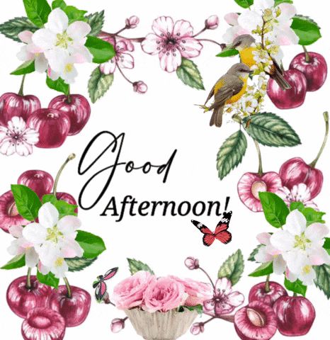 Good Afternoon Gifs, Happy Weekend Gif, Good Afternoon Gif, Happy Weekend Images, Good Afternoon Quotes, Afternoon Quotes, Good Night Gif, Good Afternoon, Good Morning Good Night