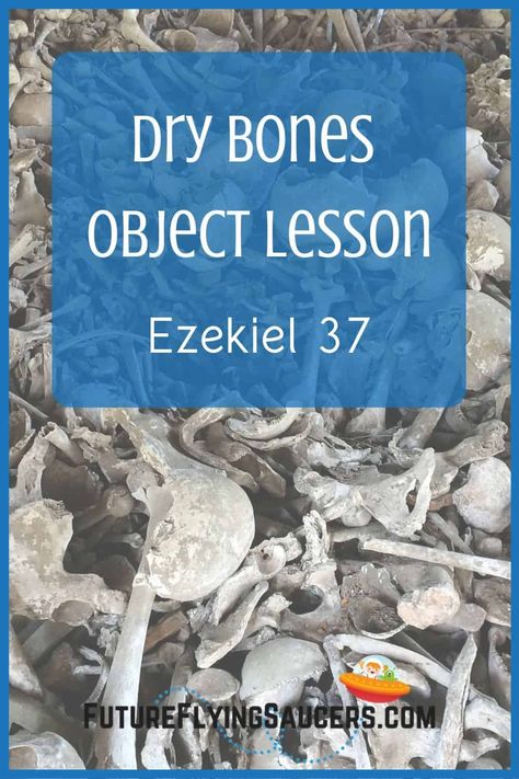 Ezekiel 37 Dry Bones, God Is Trustworthy, Prophet Ezekiel, Teen Bible Lessons, Youth Bible Lessons, Youth Group Lessons, Ezekiel 37, Sunday School Object Lessons, Youth Bible Study