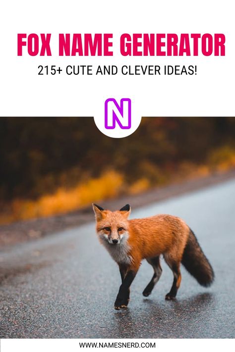 Fox Name Generator - [215+ Cute and Clever Ideas!] Fox Names, Animals Name In English, Robin Hood Disney, Foxy Brown, Fox Spirit, Fox Mulder, Pet Fox, Incredible Creatures, Name Generator