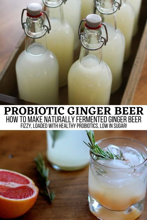 How to Make Probiotic Ginger Beer - this naturally fermented probiotic rich beverage is loaded with health benefits! Plus, it's fun to make at home and an excellent project for those who love fermenting food and drinks. #probiotics #beverage #kombucha #gingerbeer #healthy #guthealth Probiotic Whey Soda, Ginger Probiotic Drink, Fermented Ginger Beer, Diy Probiotic Soda, Prebiotic Drink Recipe, Ginger Bug Soda Flavors, Diy Ginger Beer, Low Fermentation Diet, Gut Shot Recipe