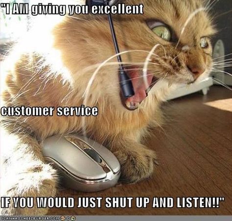 "I AM giving you excellent customer service IF YOU WOULD JUST SHUT UP AND LISTEN!!" Call Center Humor, Dispatcher Quotes, Customer Service Funny, Work Funnies, Customer Service Quotes, True Sayings, Work Quotes Funny, Sarcastic Jokes, Demotivational Posters