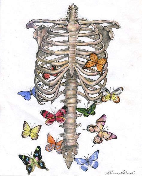 You Give Me Butterflies, Skeleton Drawings, Arte Grunge, Give Me Butterflies, Skeleton Art, Butterfly Drawing, Art Drawings Sketches Creative, Anatomy Art, Book Art Drawings