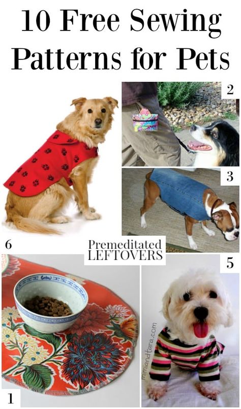 Big Dog Clothes Patterns, Sewing Pattern Dog Coat, Sewing Pattern For Dog Pajamas, Ferret Hammock Sewing Pattern, Sewing Patterns For Dogs Clothes, Dog Jackets Diy Patterns, Large Dog Coat Pattern Free Printable, Dog Sweater Sewing Pattern Free, Cat Recovery Suit Diy Pattern