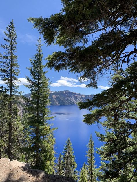 Oregon National Park, Oregon Scenery, Usa Nature, Crater Lake Oregon, Crater Lake National Park, Beautiful Landscape Photography, Road Trip Adventure, Crater Lake, Pretty Landscapes