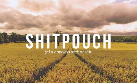 18 British Insults We Should All Start Using - Funny Gallery Swear Words, Annoying People, Unique Words Definitions, Curse Words, Cuss Words, Word Nerd, Swear Word, Weird Words, Unusual Words