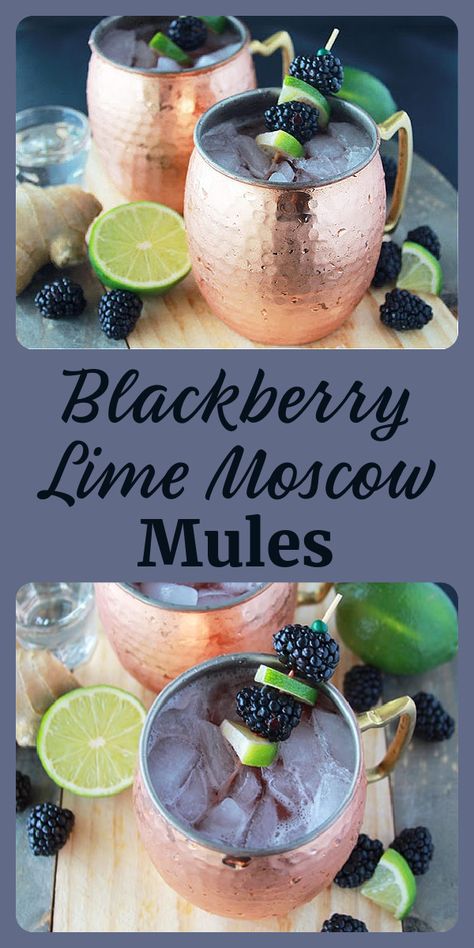 Frosted Blackberry Mule, Blackberry Mule Cocktail, Blackberry Ginger Ale Cocktails, Blackberry Drinks Cocktails, Honey Blackberry Mint Mocktail, Moscow Mules, Moscow Mule Recipe, Mule Recipe, Homemade Soda