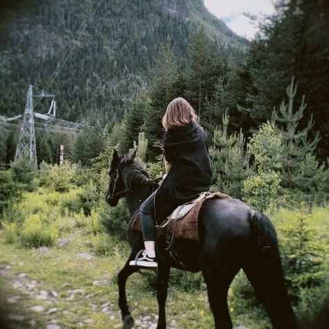 karachai horse Horse Rider Reference, Apocalipsis Aesthetic, Sims Barbie, Wild Horses Photography, Horse Riding Aesthetic, Equestrian Aesthetic, Horse Aesthetic, Dressage Horses, I Love Horses