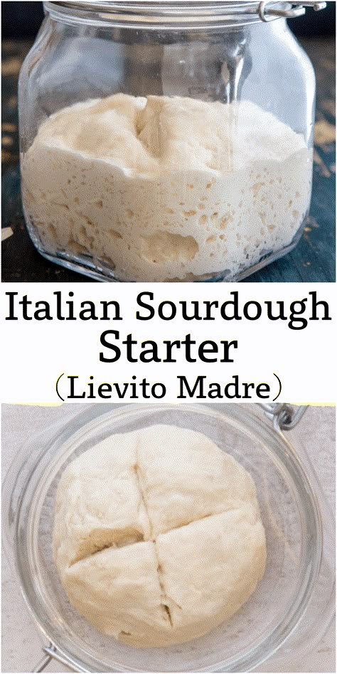 The Best Sourdough Starter Recipe, French Sourdough Starter, Cassava Sourdough Starter, Italian Sourdough Starter, Sourdough Without Starter, Small Batch Sourdough Starter, Sough Dough Starter, Sourdough Starter Flour, Sourdough Italian Bread