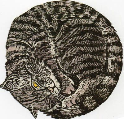 ✦ 'kitten' - annie soudain - linocut Batman Green Lantern, Folding Cards, Marvel Daredevil, Weta Workshop, Disney Merchandise, Mickey Minnie Mouse, Lino Print, Magical Creatures, Fantastic Beasts