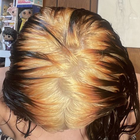 Dark Hair With Light Roots, Black Hair Bleached Tips, Blonde Roots Brown Ends, Blonde Ghost Roots Black Hair, Bleached Roots Dark Ends, White Roots Dark Ends, Blonde Ghost Roots, Bad Bleached Hair, Black Hair Blonde Roots