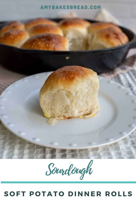 Super soft, 100% sourdough potato rolls, these easy rolls are perfect for your family dinner table. Serve them warm with some soft butter and homemade jam for a real delicious treat. Sourdough Potato Rolls, Sourdough Potato Bread, Sourdough Bread Rolls, Potato Dinner Rolls, Bread Proofer, Sourdough Rolls, Potato Rolls, Family Dinner Table, Potato Dinner