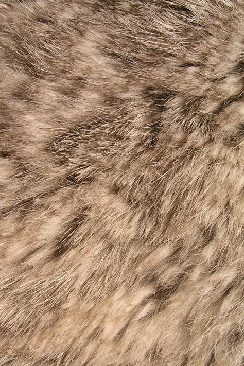 Fur Background, Animal Print Background, Fur Texture, Animal Print Wallpaper, Iphone 6 Wallpaper, Animal Fur, Texture Photography, Animal Skin, Print Wallpaper