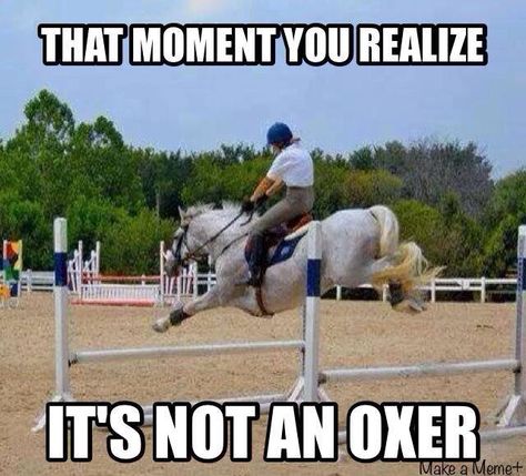 It's not an oxer | equestrian problems Funny Horse Videos, Equine Quotes, Funny Horse Pictures, Horse Quotes Funny, Relatable Horse Problems, Horse Jokes, Horse Riding Quotes, Equestrian Quotes, Riding Quotes