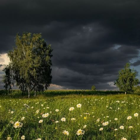 Shooter Aesthetic, Real Sunset, Dark Weather, Calming Nature, Arte Van Gogh, Dark Nature, Pretty Landscapes, Dark Sky, Grey Skies