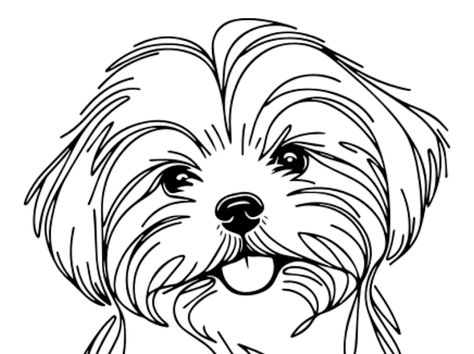 SVG - Google Drive Cute Shih Tzu Drawing, Drawing Shih Tzu, Shih Tzu Drawing, Chihuahua Drawing, Beach Inspired Tattoos, Dogs Tattoo, Butterfly Tattoo Stencil, Perro Shih Tzu, Shitzu Dogs