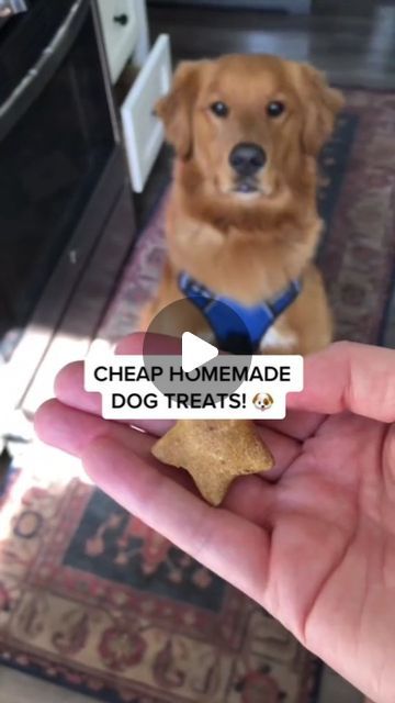 225 likes, 2 comments - doggynewshub on June 22, 2024: "Easy home-made dog treats!

Video Credit: erinrobinson on Tiktok". Home Made Dog Treats Recipe, Dog Treat Recipes Easy, Home Made Dog Treats, Dog Treats Recipe, Soft Dog Treats, Dog Treat Recipes, Video Credits, Homemade Dog, June 22