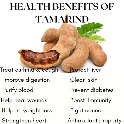 Tamarind tree fruit is most useful and sweetest part which help you in many healthy ways.. Tamarind Water Benefits, Tamarind Benefits Health, Herb Knowledge, Grunge Diy, Tamarind Recipes, Tamarind Tree, Tamarind Fruit, Food Benefits, Healthy Juice Drinks