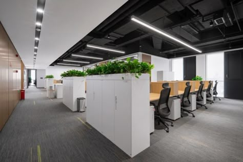 iSoft Infrastructure Software Offices - Shanghai Office Ceiling Design Modern Simple, Open Office Ceiling Design, Factory Office Design, Office In Factory, Simple Office Design, Open Office Workstations Design, Office Ceiling Design, Open Office Acoustic Ceiling, Open Concept Office