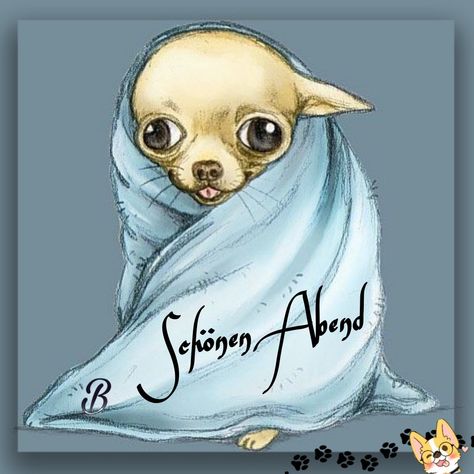 Chihuahua Drawing, Psy Chihuahua, Wrapped In A Blanket, Chihuahua Art, Chihuahua Mom, Chihuahua Lover, Cute Chihuahua, Chihuahua Love, Chihuahua Puppies