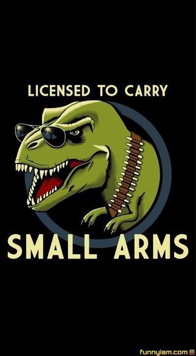 Licensed To Carry Small Arms - Imgur Trex Jokes, T Rex Arms, The Meta Picture, T Rex Shirt, T Rex Humor, Small Arms, Dinosaur Funny, A Dinosaur, E Card