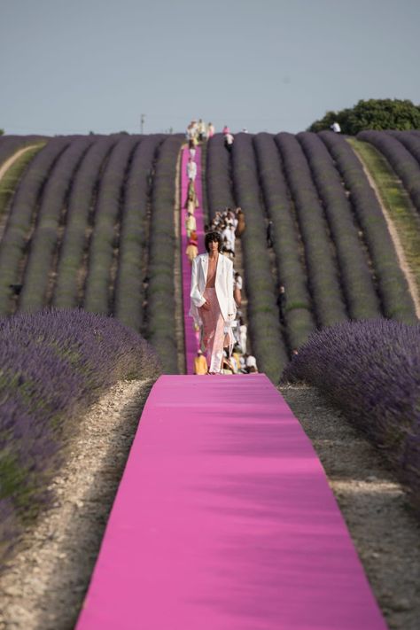 Jacquemus Summer, Fashion Show Set Design, Pink Runway, Simon Porte Jacquemus, Hot Pink Blazers, Lavender Field, Anniversary Event, Pink Carpet, Carton Invitation