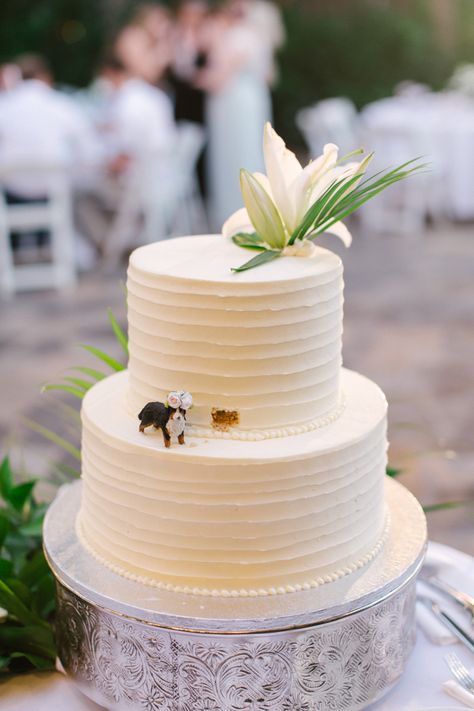 Corgi Wedding Cake Topper, Wedding Cake With Cream Cheese Frosting, Dog Biting Wedding Cake, Capybara Wedding Cake, Dog Figurine Wedding Cake, Wedding Cake Ideas With Dog, Small Wedding Cake With Dog, Bernese Mountain Dog Wedding, Simple Wedding Cake With Dog