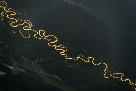 Just look at this photograph of the Amazon River! It looks like gold flowing through a darkened forest. It is not enhanced; the sunlight reflecting off the water among the darkened trees are due to the angle. This photo from taken from the International Space Station, by German ESA astronaut Alexander Gerst in 2018. You can see how the river is much longer than the distance it travels through, as thousands of years of flowing water has formed meanders and even oxbow lakes where the meander has c Betty Carter, Meandering Rivers, Look At This Photograph, Congo River, Gold River, Amazon River, Black And White Tree, World Images, International Space Station