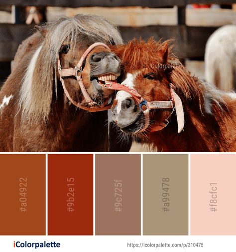 Color Palette Theme, Graphics Design Inspiration, Horse Images, Perfect Color Combinations, Horse Harness, Colors Inspiration, Color Schemes Colour Palettes, Color Palette Ideas, Palette Ideas