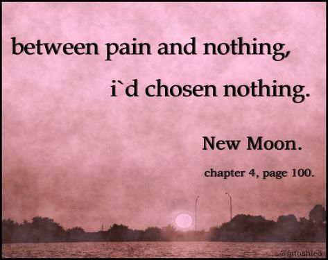 Twilight Quotes From The Book. QuotesGram Bella New Moon, New Moon Book, Vampire Quotes, Twilight Saga Quotes, Twilight Facts, Obsession Quotes, Twilight Jokes, Twilight Saga Books, Twilight Quotes