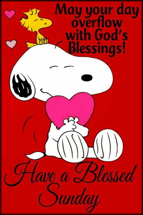 Sunday Snoopy, Snoopy Sunday, Blessed Sunday Quotes, Blessed Sunday Morning, Quotes Blessed, Charlie Brown Quotes, Good Morning Sunday, Sunday Morning Quotes, Sunday Quotes Funny