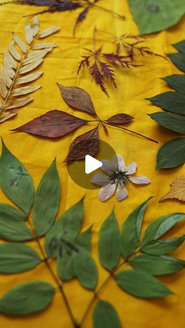 Anthotype Printing, Tumeric Sun Printing, Turmeric Printing, Sun Printing On Fabric Tutorials, Sun Printing On Fabric, Rust Dyed Fabric Art, Natural Photo, Stain On Clothes, Turmeric Curcumin