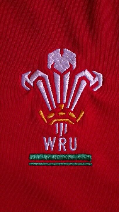 Wales Rugby Union Welsh Rugby Wallpaper, Wales Rugby Team, Welsh Rugby Players, Rugby Rules, Lions Rugby, Welsh Words, Wales Rugby, Welsh Rugby, Visit Wales