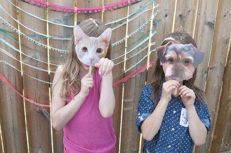 Kitten and Puppy Birthday Party Ideas | Photo 15 of 35 | Catch My Party Kitten And Puppy Birthday Party, Puppy And Kitten Birthday Party, Humane Society Birthday Party, Kitten Party Ideas, Puppy And Kitty Themed Birthday Party, Kittens And Puppies Birthday Party, Kitten First Birthday Party, Kitten Cookies, Puppy Birthday Party Ideas