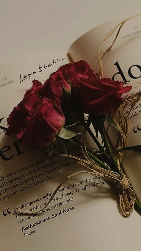 Books And Roses Aesthetic, Deep Red Roses Aesthetic, Romantic Flowers Aesthetic, Dark Magic Aesthetic Red, Dark Red Roses Aesthetic, Aestetic Picture, Red Rose Wallpaper, Rose Core, Red Roses Bouquet