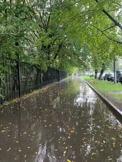 Rainy Mood, Rainy Sky, Rainy Street, Rain Aesthetic, Rain Pictures, Smell Of Rain, Rainy Day Aesthetic, Morning Rain, I Love Rain