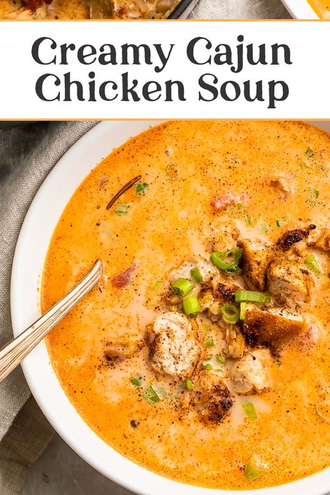 Creamy Chicken Gumbo Soup, Cajun Chicken Soup Crock Pot, Creamy Chicken Broth Soup, Creamy Cajun Chicken Pasta Soup, Creole Chicken Soup, Cajun Ninja Chicken Stew, Cajun Soup Recipes New Orleans, Creole Soup Recipes, Cajun Chicken Noodle Soup