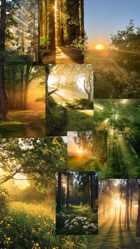 #sunrise#aesthetic#atmosphere#collage#wallpaper#sunriseaesthetic#sunriseatmosphere#sunrisecollage#sunrisewallpaper Aesthetic Atmosphere, Sunrise Aesthetic, Collage Wallpaper, In The Forest, The Forest, Forest, Collage