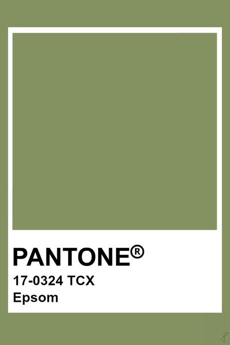 Pantone Olive Green, Olive Pantone, Pantone 2024, Pantone Tcx, Pantone Green, Pallet Color, Pantone Color Chart, Pantone Swatches, Pantone Palette