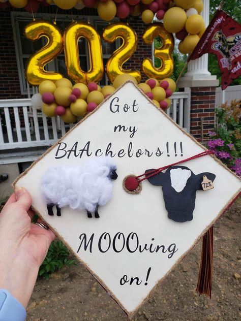 Animal Science Graduation Pictures, Animal Science Graduation Cap, Agriculture Graduation Cap, Cow Graduation Cap, Science Graduation Cap, Graduation Cap Decoration Diy, Grad Outfits, College Motivation, Degree Design