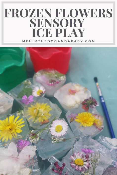 Frozen Flowers Sensory Ice Play, Spring Play Ideas, Garden Activities Eyfs, Plant Tuff Tray, Alice In Wonderland Sensory Play, Tuff Tray Water Ideas, Spring Theme Tuff Tray, Flowers Toddler Activities, Ice Tuff Tray Ideas