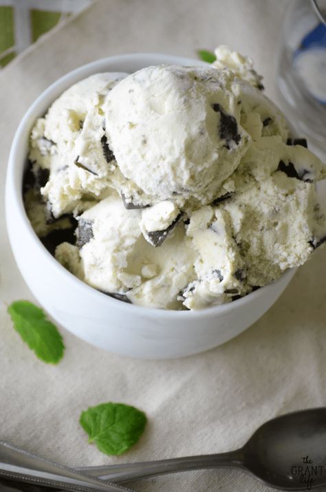 Mint Chip Ice Cream Recipe, Mint Custard, Chocolate Pumpkin Desserts, Homemade Mint Chocolate Chip Ice Cream, Mint Chocolate Chip Ice Cream Recipe, Kitchen Aid Ice Cream Recipes, Kitchen Aid Ice Cream, Ice Cream Recipes Machine, Custard Ice Cream