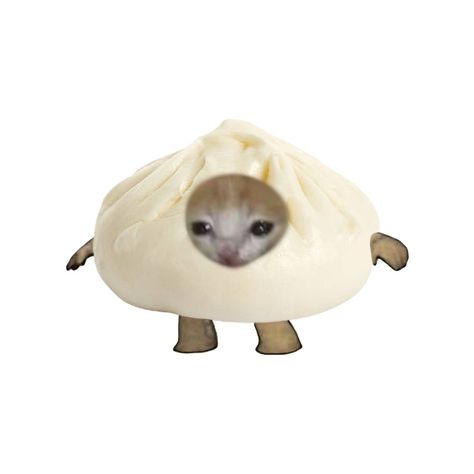 Cursed Cat Pfp, Crying Cat Costume, Cat Objects, Apple Cat, Bread Cat, Cat Bread, Cats Pfp, Cursed Cats, Cursed Cat