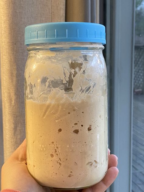 Bread Starter Recipe How To Make, Sourdough Starter Without Discard, No Waste Sourdough Starter, No Discard Sourdough Starter Recipe, Sour Dough Starters, Small Batch Sourdough Starter, Sourdough Starter No Discard, Sour Dough Starter No Discard Recipes, No Discard Sourdough Starter