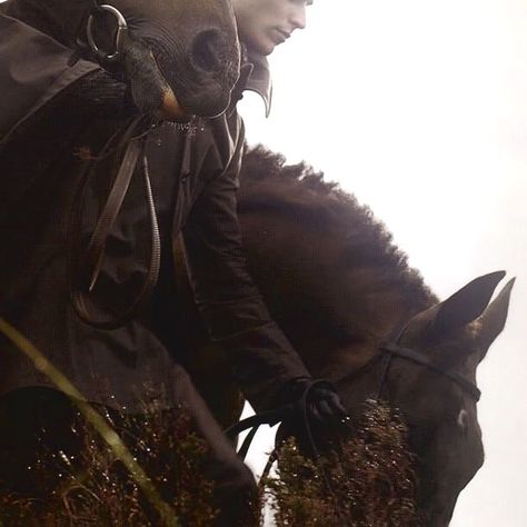 House Bracken Aesthetic, House Strong Aesthetic, Jace Velaryon Aesthetic, Harry Collett Aesthetic, Jacaerys Velaryon Aesthetic, Blackfyre Aesthetic, House Bracken, Medieval Horses, Dsmp Aesthetic