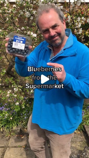 728K views · 47K likes | Simon Akeroyd on Instagram: "Blueberries need acidic soil so use ericaceous compost. Ask at a garden centre if you are not sure.   Remember to water blueberries with rainwater as tap water can be slighlty alkaline.   Enjoy your blueberries 😍  #fruitgrowingforbeginners #gardeningforbeginners #growyourown #growblueberries #blueberries #simonakeroyd" Growing Blueberries From Seed, Seedling Setup, Compost Garden, Grow Blueberries, Blueberry Gardening, Blueberry Bush, Acidic Soil, Growing Blueberries, Berry Garden