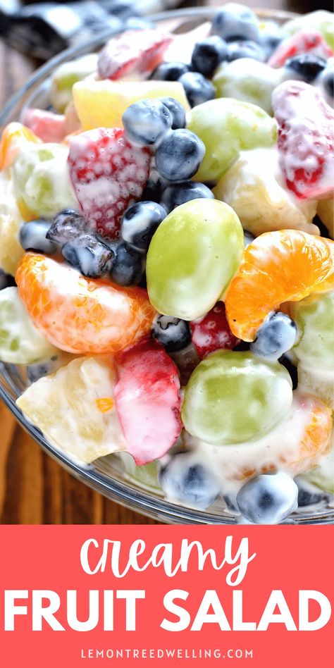 This Skinny Ambrosia Fruit Salad combines 5 types of sweet fruit with a delicious Greek yogurt dressing - the perfect healthy way to dress up your plain fruit salad! Fruit Salad With Pudding, Ambrosia Recipe, Lemon Tree Dwelling, Ambrosia Fruit Salad, Creamy Fruit Salads, Greek Yogurt Dressing, Fruit Salad Easy, Fresh Fruit Recipes, Yogurt Dressing