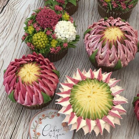 Protea Cupcake Ideas, Protea Cupcakes, Protea Cake, Hibiscus Buttercream Flowers, Buttercream Flower Cupcake Bouquet, Baked Bouquet Cupcake Flower, Chocolate Ganache Cake, Cupcake Bouquets, Cat Cupcakes