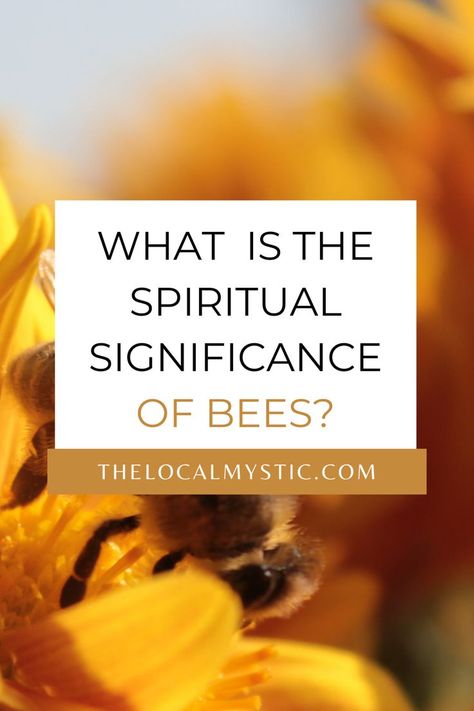 Bee Spirit Animal Meaning, What Do Bees Represent, Honey Bee Spirit Animal, Queen Bee Meaning, Quotes About Bees Inspiration, What Do Bees Symbolize, Honey Bee Meaning, Honey Bee Symbolism, Bees In Witchcraft